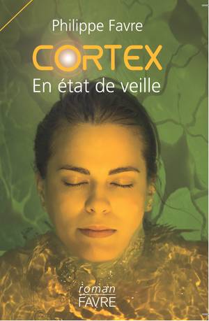 Cortex en tat de veille