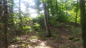 tumulus-dans-la-foret-de-chatillon-sur-glane : 4000x2250