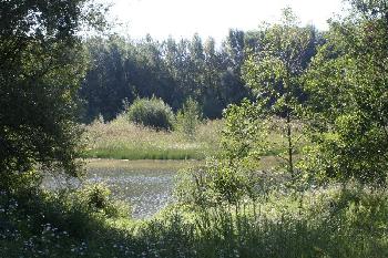 ce-a-quoi-devait-ressembler-le-rhone : 800x533